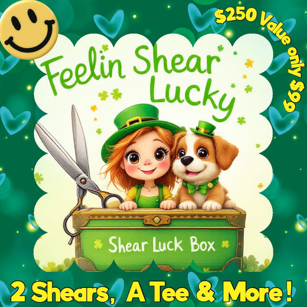 2025 St. Patrick's Day Shear Luck Box 🍀 🌈✂️