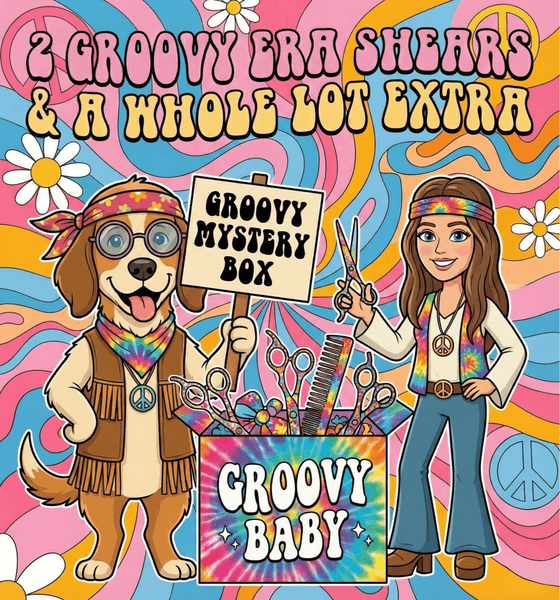 In My Era Groovy Box